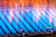 Nesstoun gas fired boilers